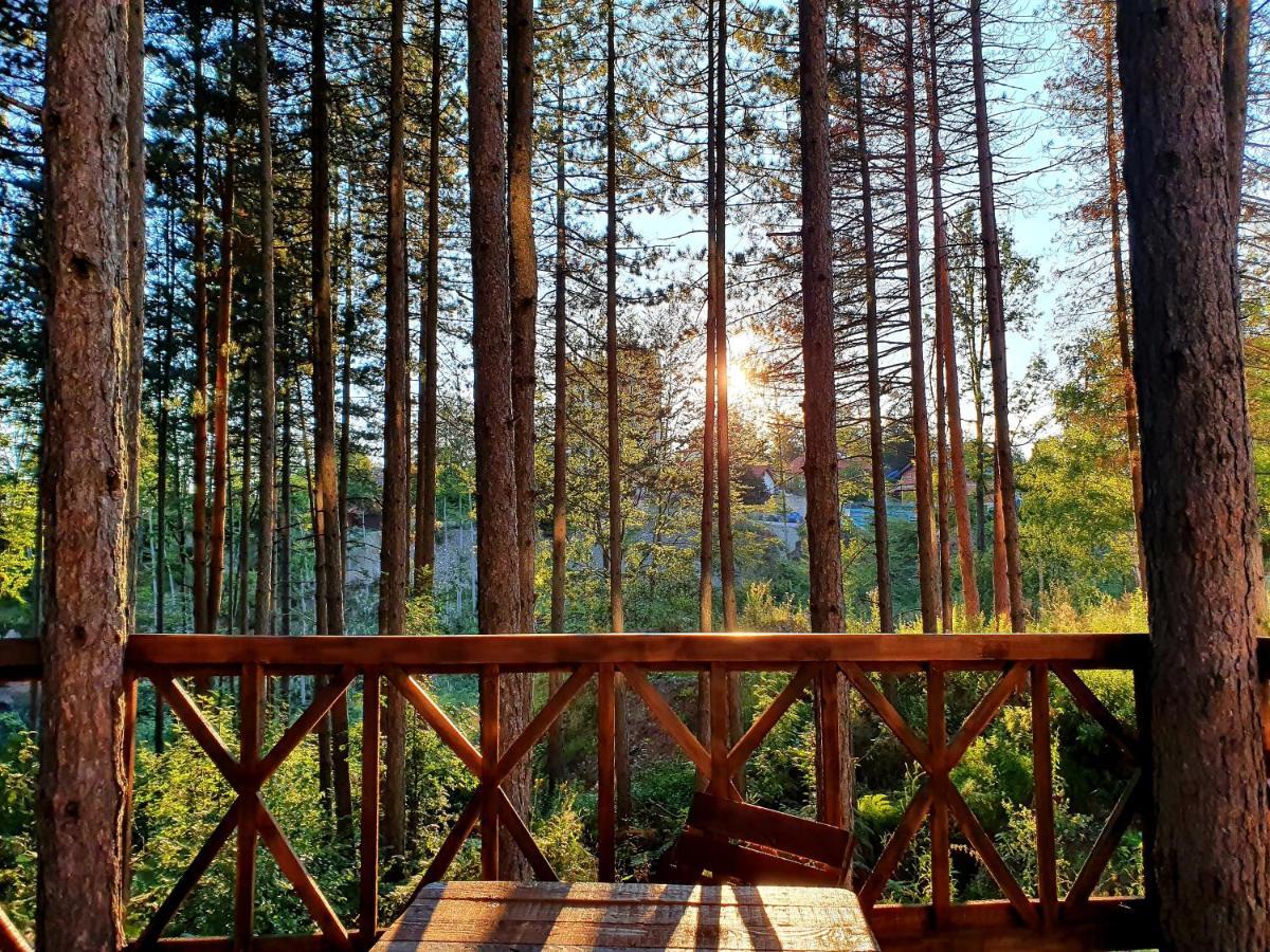 Apartment White Bear ซลาตีบอร์ ภายนอก รูปภาพ