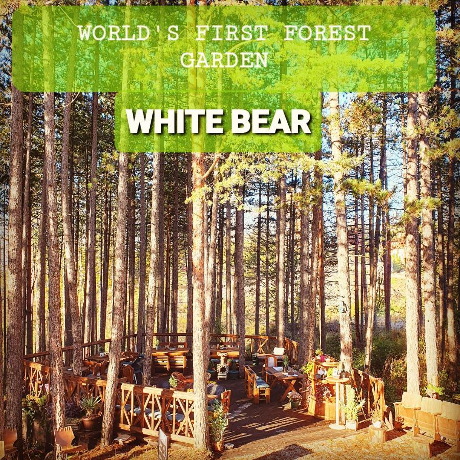 Apartment White Bear ซลาตีบอร์ ภายนอก รูปภาพ