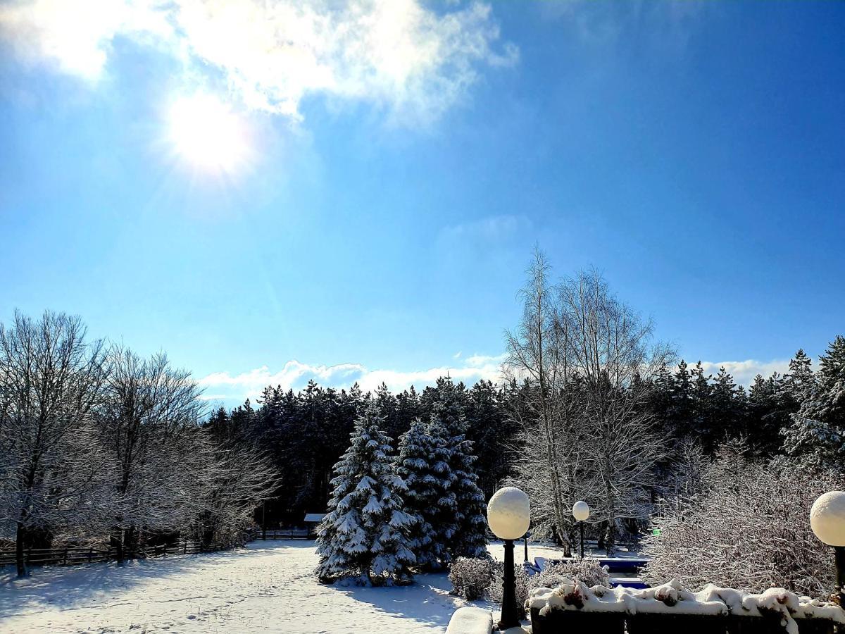 Apartment White Bear ซลาตีบอร์ ภายนอก รูปภาพ